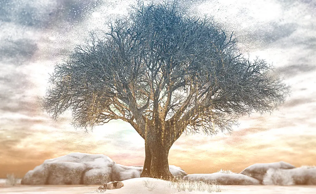 A luminous bare tree standing in the snow at Pususaari