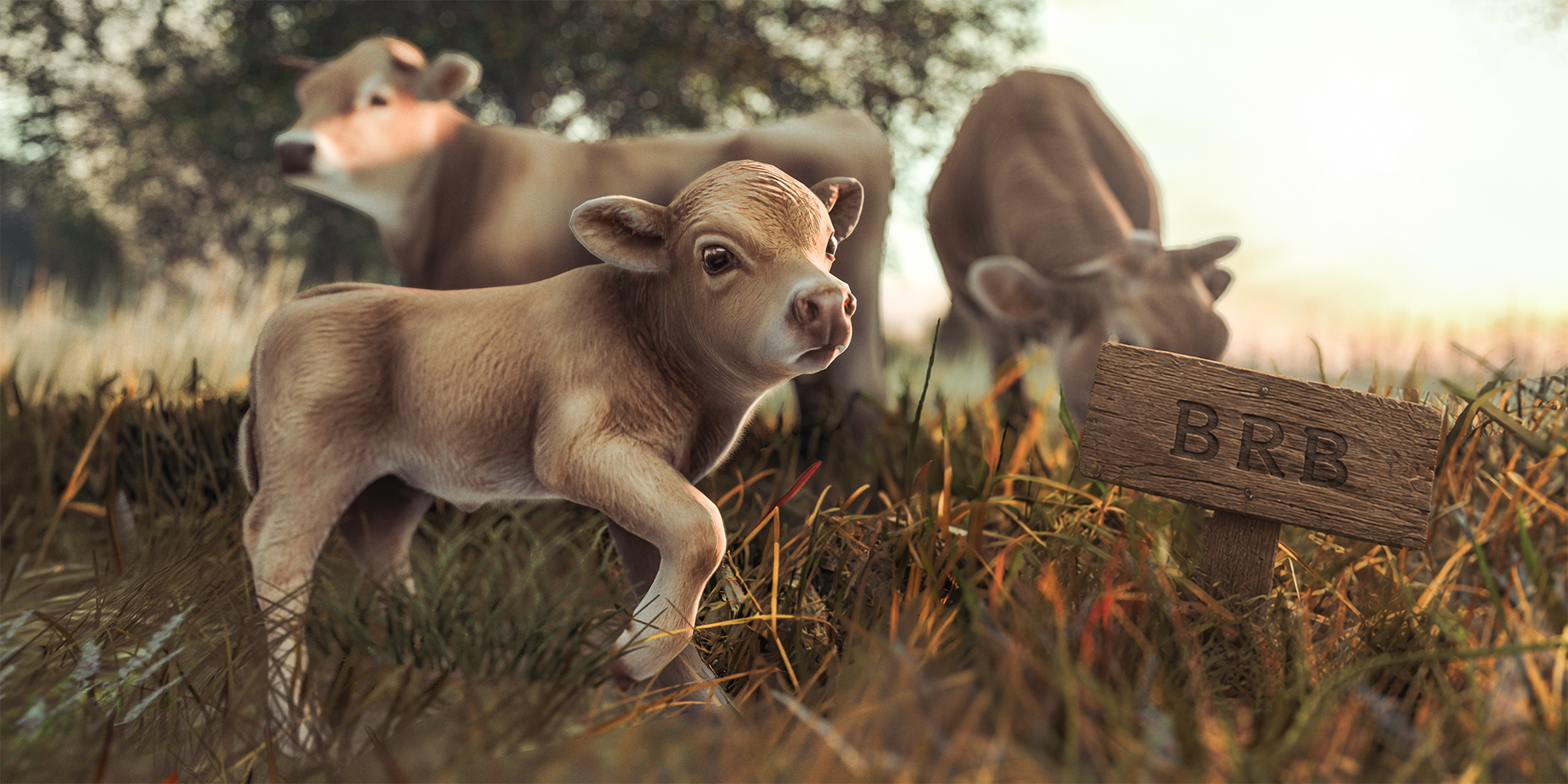A calf and two cows beside the newest Pususaari BRB sign